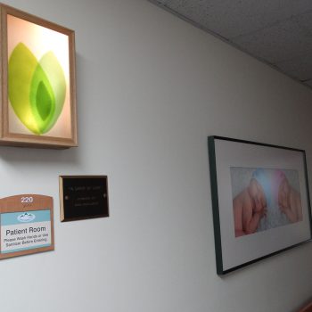 11 - 9" x 12"<br>
Fused glass, LED custom luminaries<br>
Northwestern Medical Center<br>
St. Albans, VT<br>
Artist: Caroline Parent Three Leaves