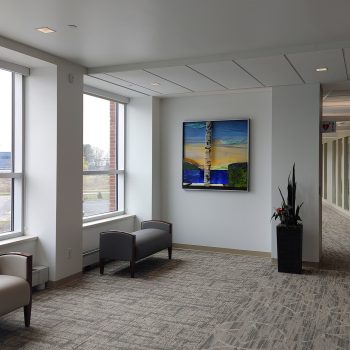 48”x 48”<br>
LED backlit, raised fused glass, latex, acrylic birch panel<br>
Medical Building<br>
Portsmouth, NH<br>
Artist: Caroline Parent 2020