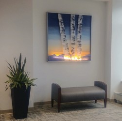 Site-specific LED backlit artwork